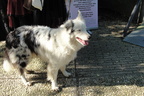 DSC08944
