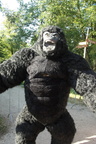 DSC09011